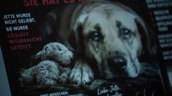 Plakat mit weinendem Hund