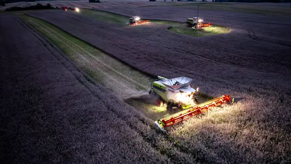 Mähdrescher ernten nach Sonnenuntergang Raps auf einem Acker
