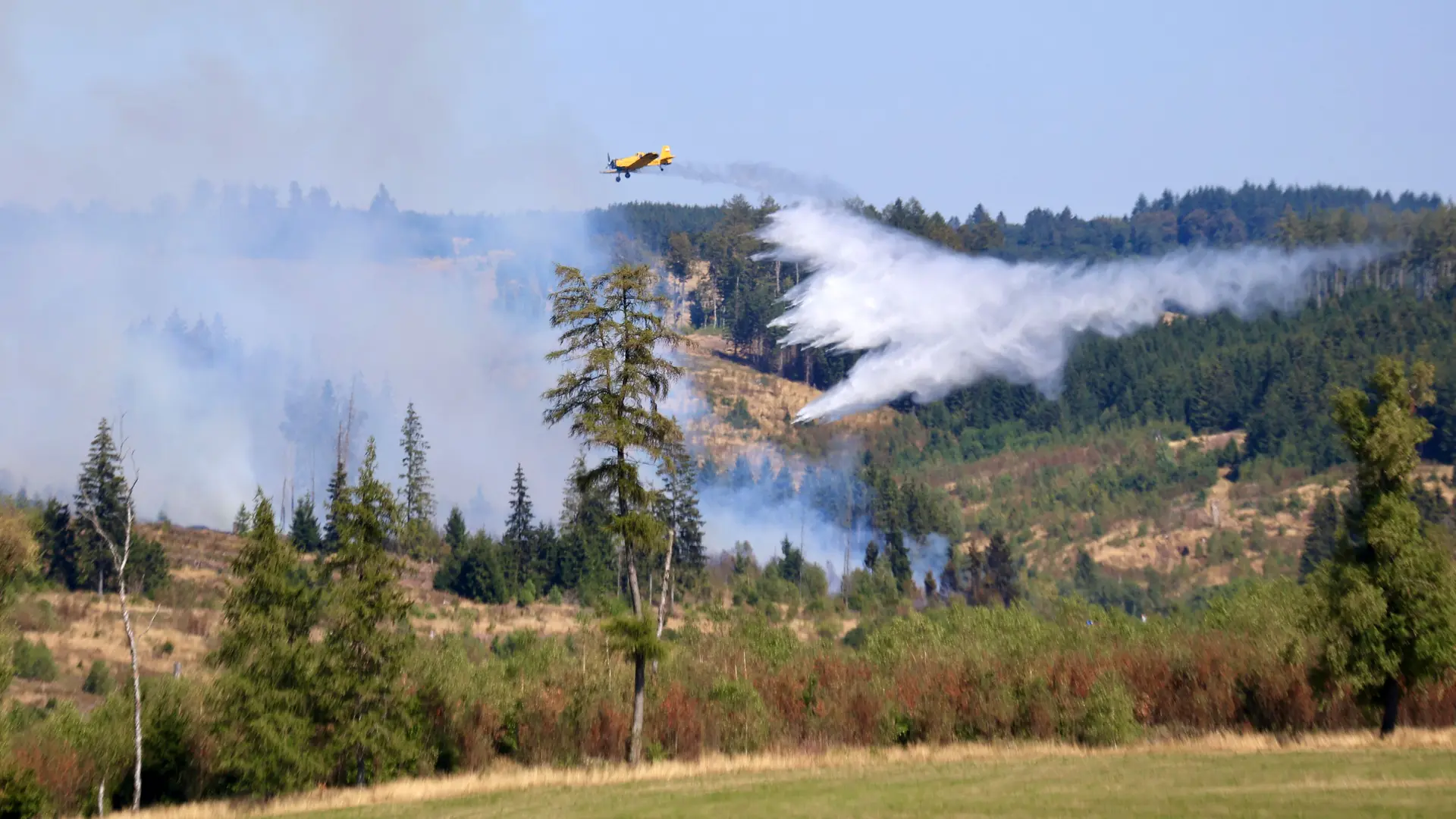 Waldbrand bei Benneckenstein im Harz: Einsatz beendet