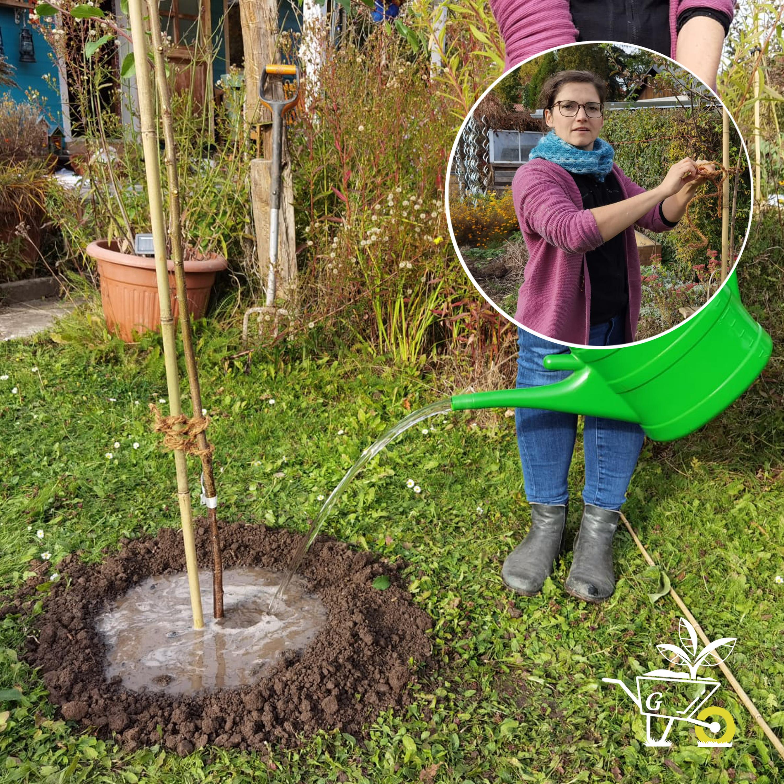 #19: Einen Baum im Herbst pflanzen episode artwork