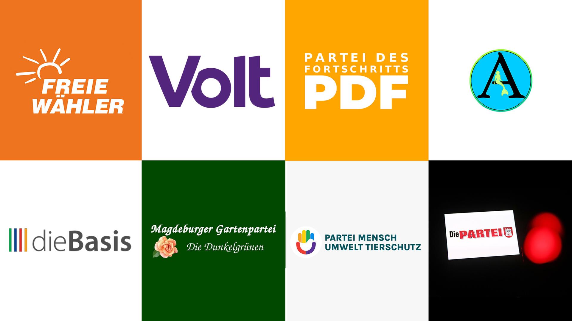 Landtagswahl in Sachsen-Anhalt: Das sind die Ziele der kleinen Parteien