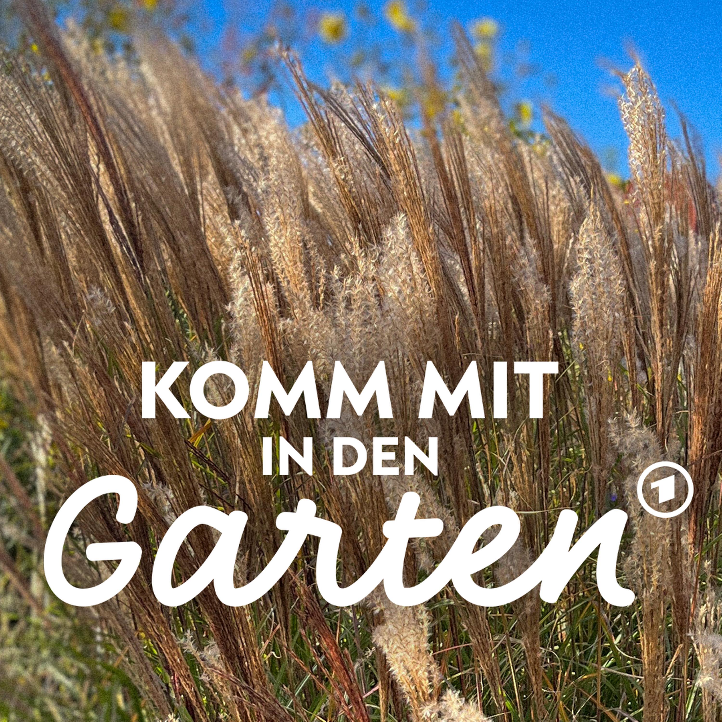 Ziergräser für jeden Garten episode artwork