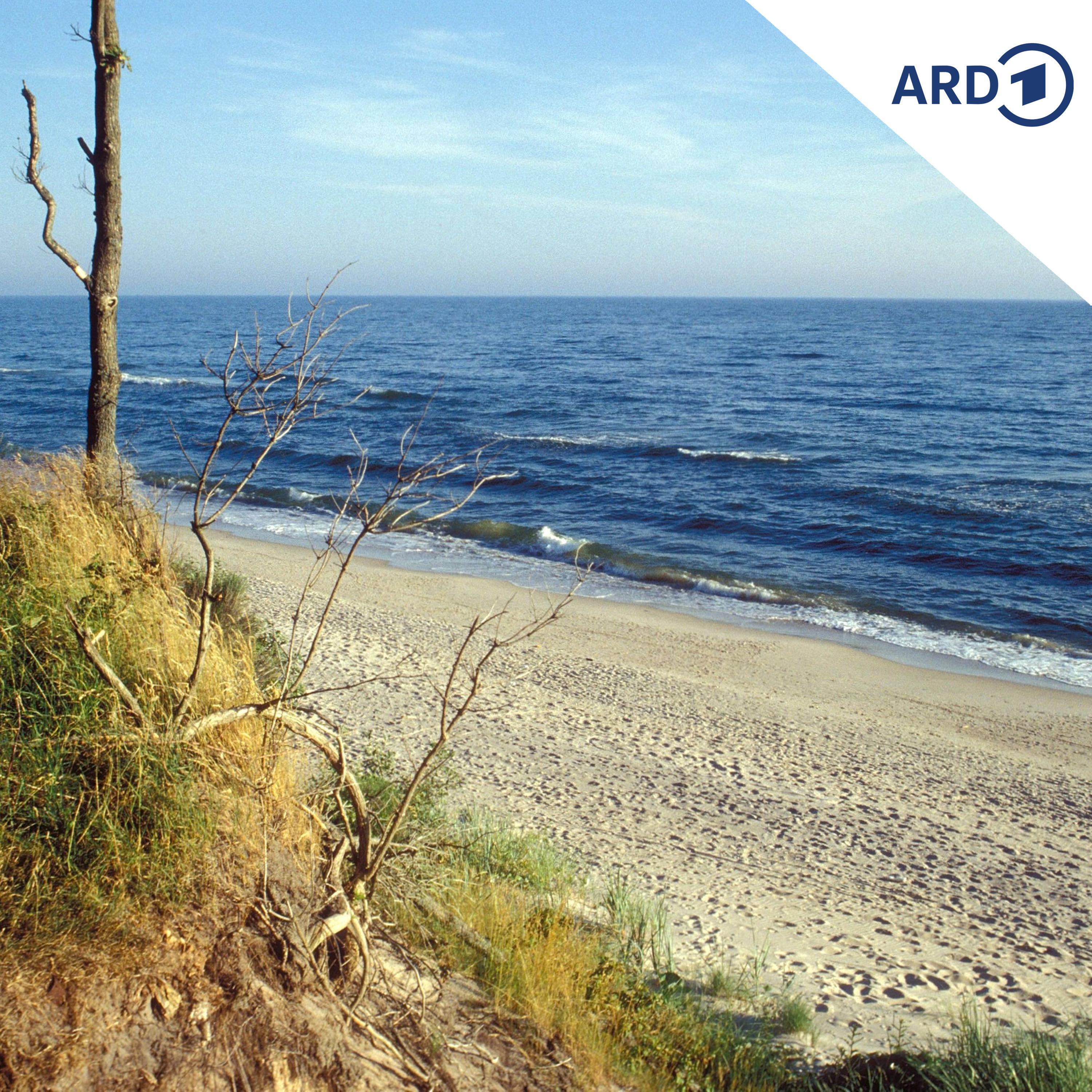 Strandidylle in Gefahr: Usedom befürchtet polnische Bohrtürme vor der Ostseeküste episode artwork