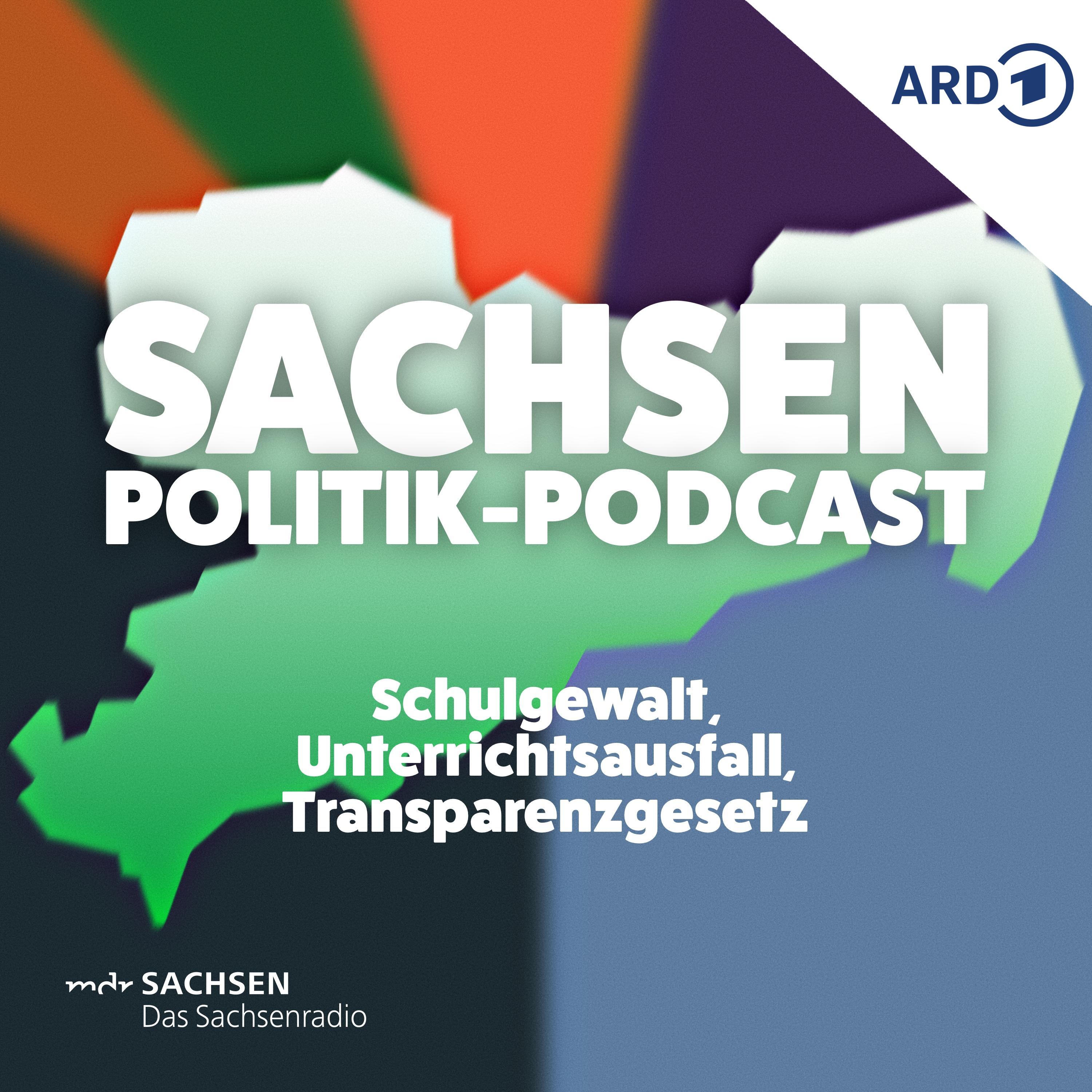 Schulgewalt, Unterrichtsausfall, Transparenzgesetz episode artwork