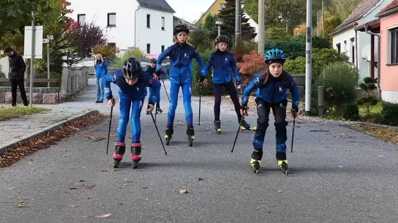 Wildunfälle: Prävention und Verhalten bei Kollision