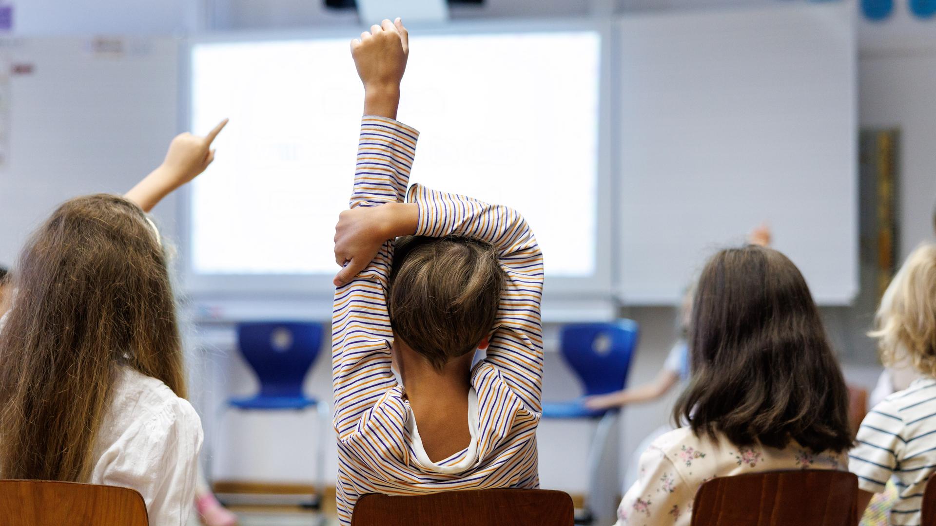 Schüler einer zweiten Klasse melden sich in einer Schulstunde | picture alliance / dpa | Matthias Balk