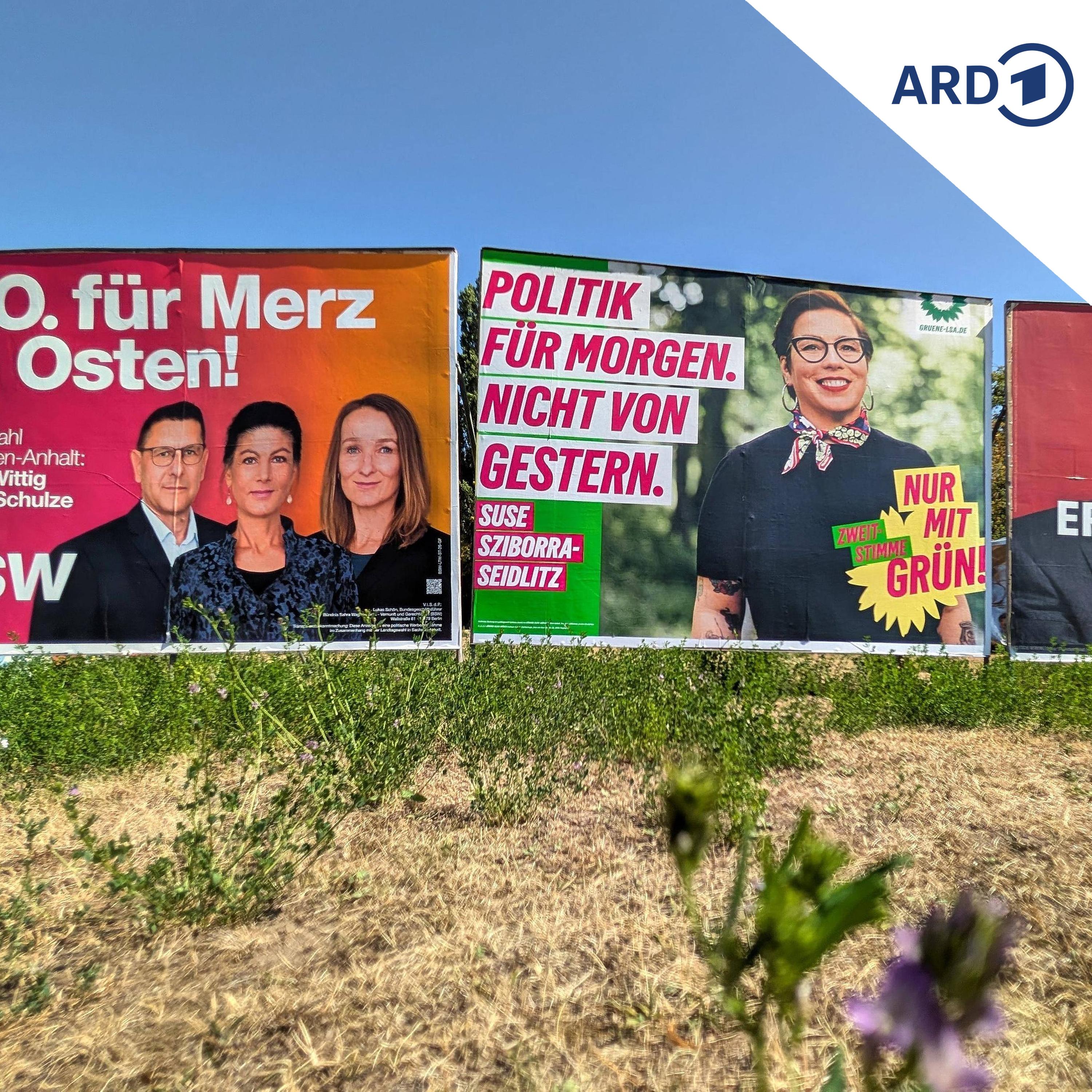 Landtagswahl: Worauf es im Endspurt ankommt episode artwork