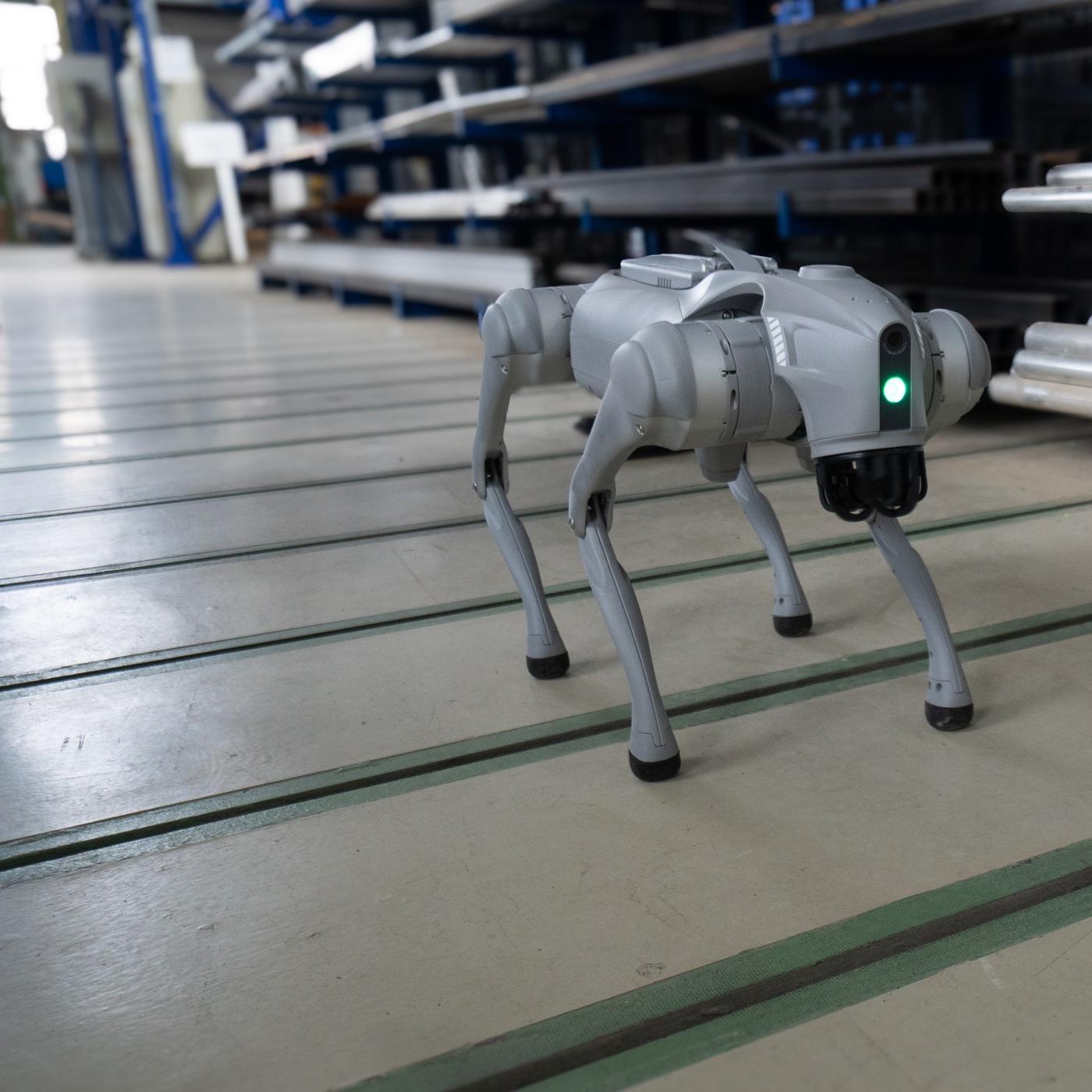 KI fr die Industrie: Einzigartiger Studiengang in Sachsen-Anhalt mit  Roboterhund Byte | mdr.de