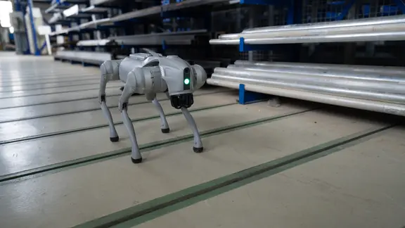 KI fr die Industrie: Einzigartiger Studiengang in Sachsen-Anhalt mit  Roboterhund Byte | mdr.de