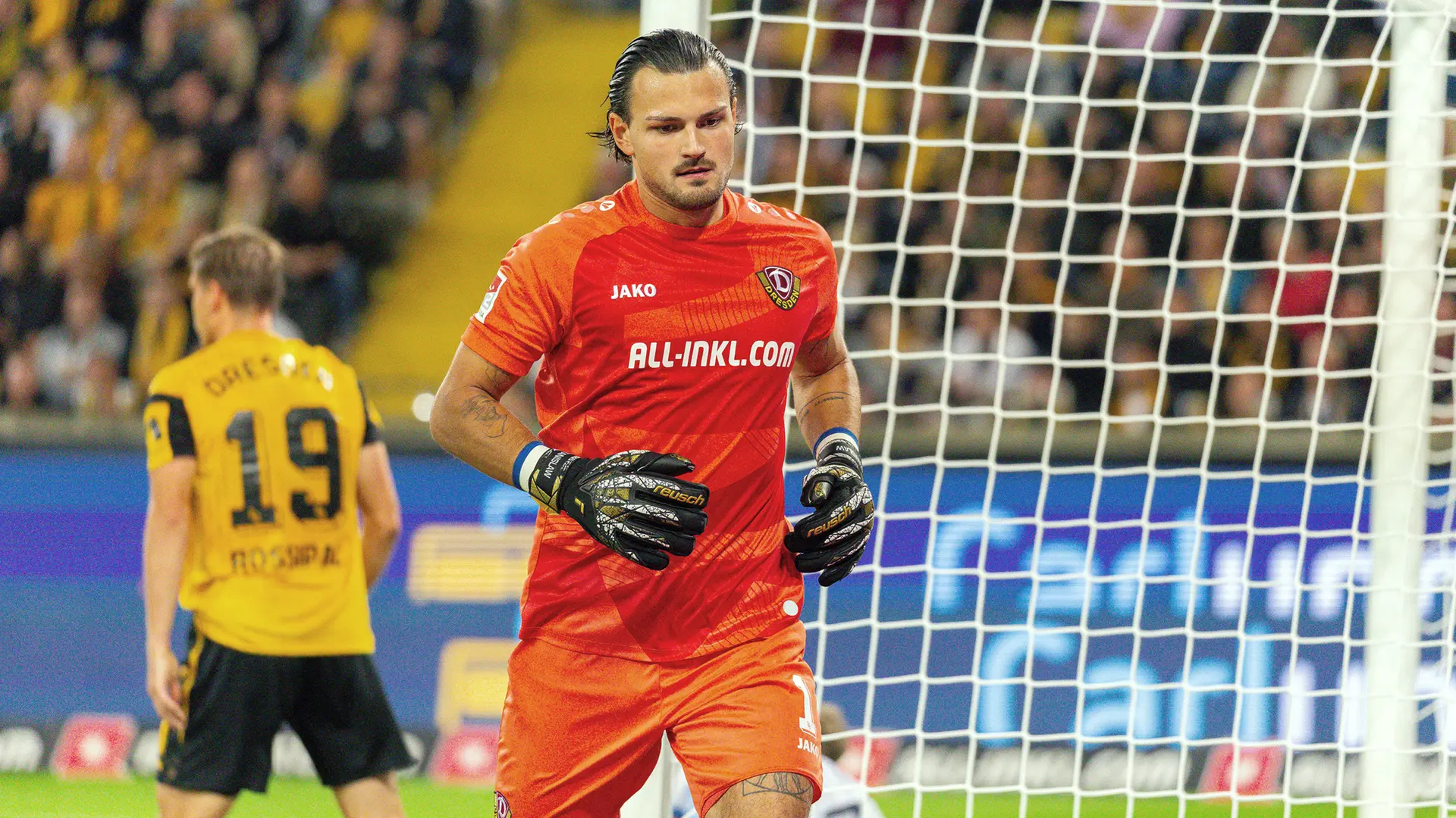 Tim Covic Dynamo Dresden: Keeper Schreiber strahlt Ruhe aus - Vorfreude bei ...