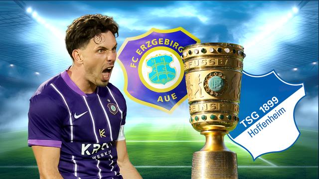 FC Erzgebirge Aue-TSG 1899 Hoffenheim