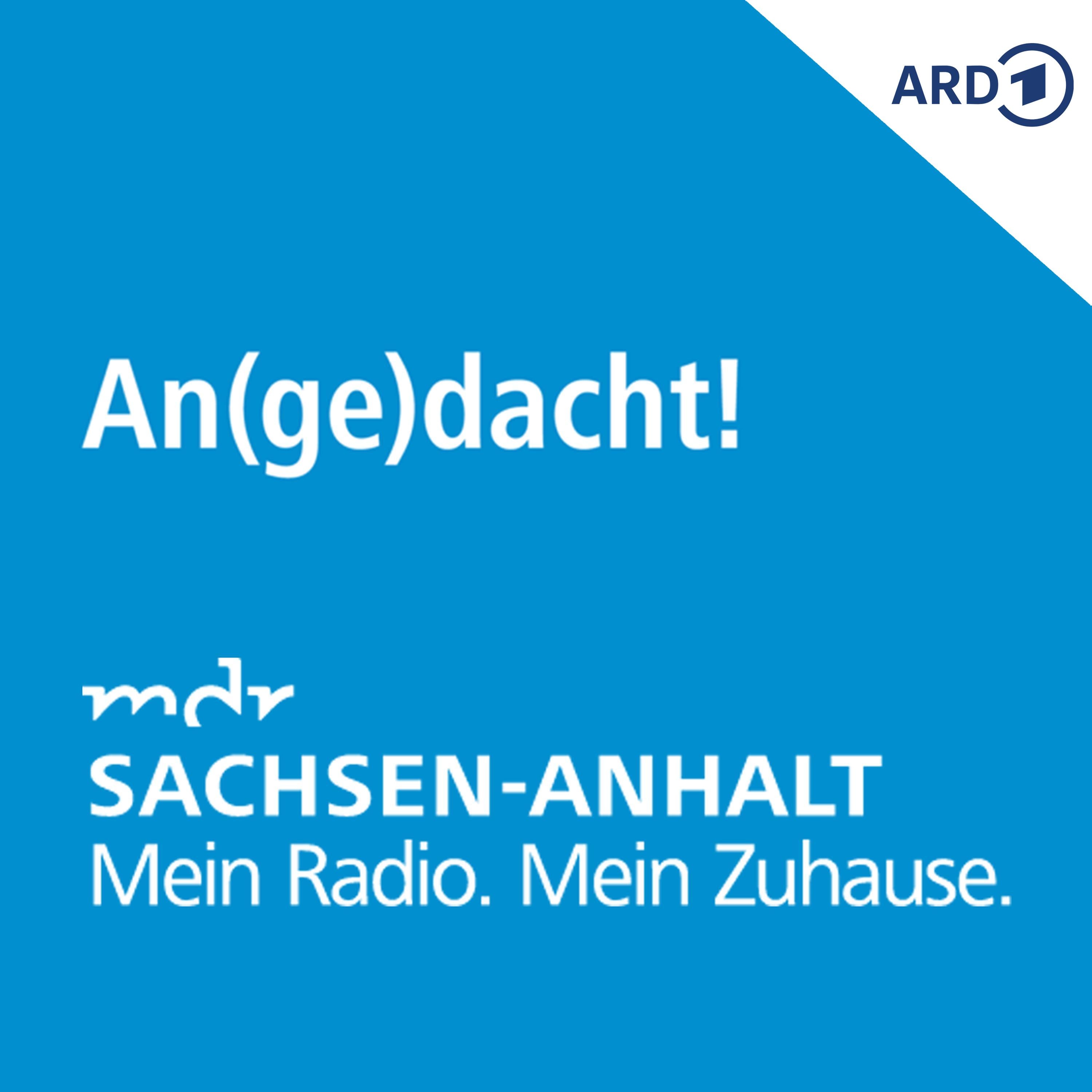 Besuch beim Optiker episode artwork
