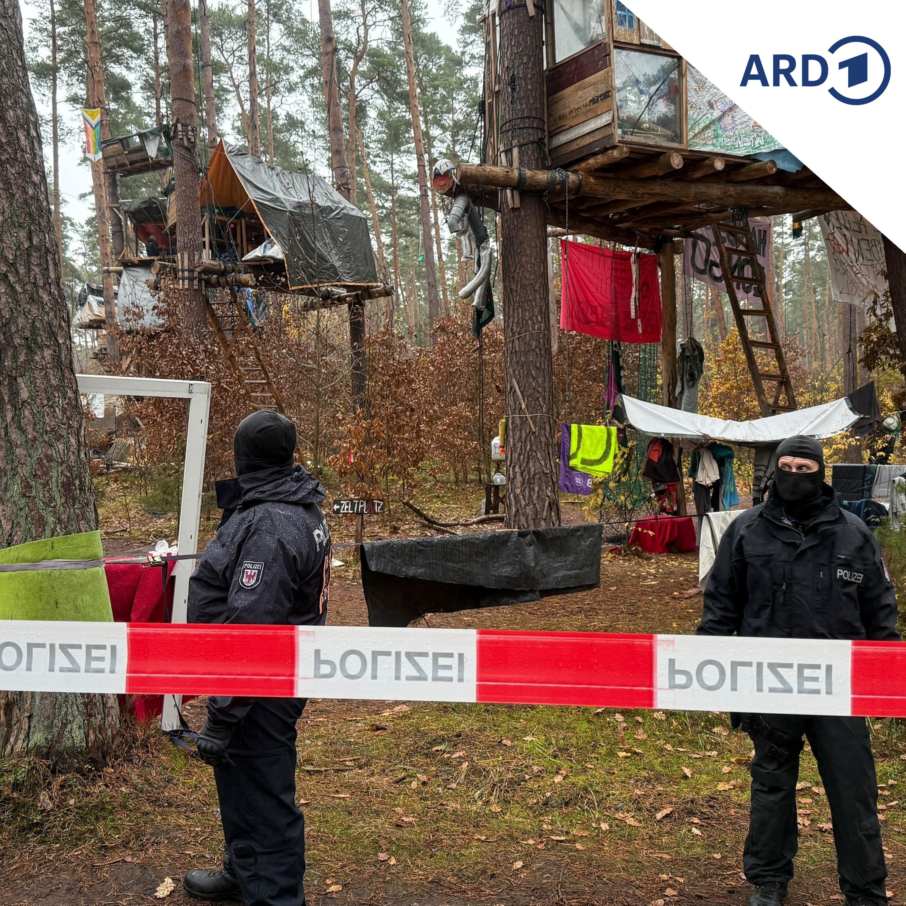 Baumklang – Protest in den Wipfeln episode artwork