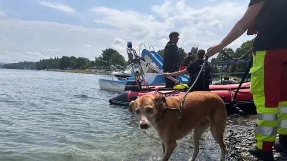 Ein Suchhund am Ufer der Pöhl.