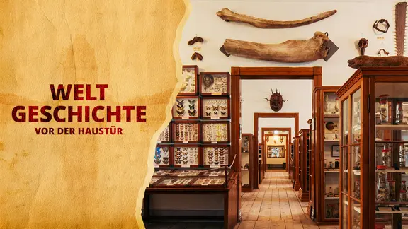 Aufnahme aus der Wunderkammer Waldenburg