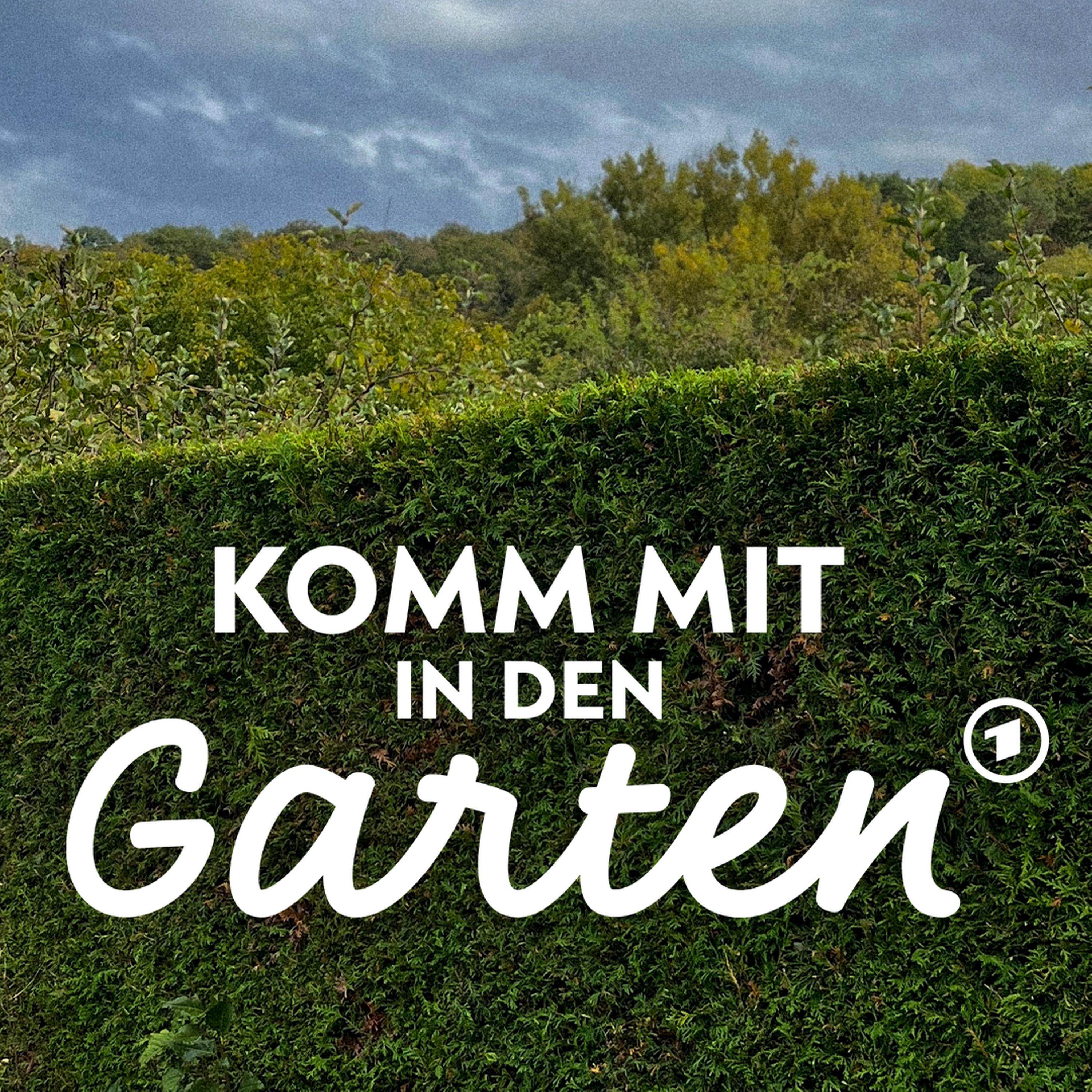 #105: Heckenschnitt - was ist erlaubt? episode artwork
