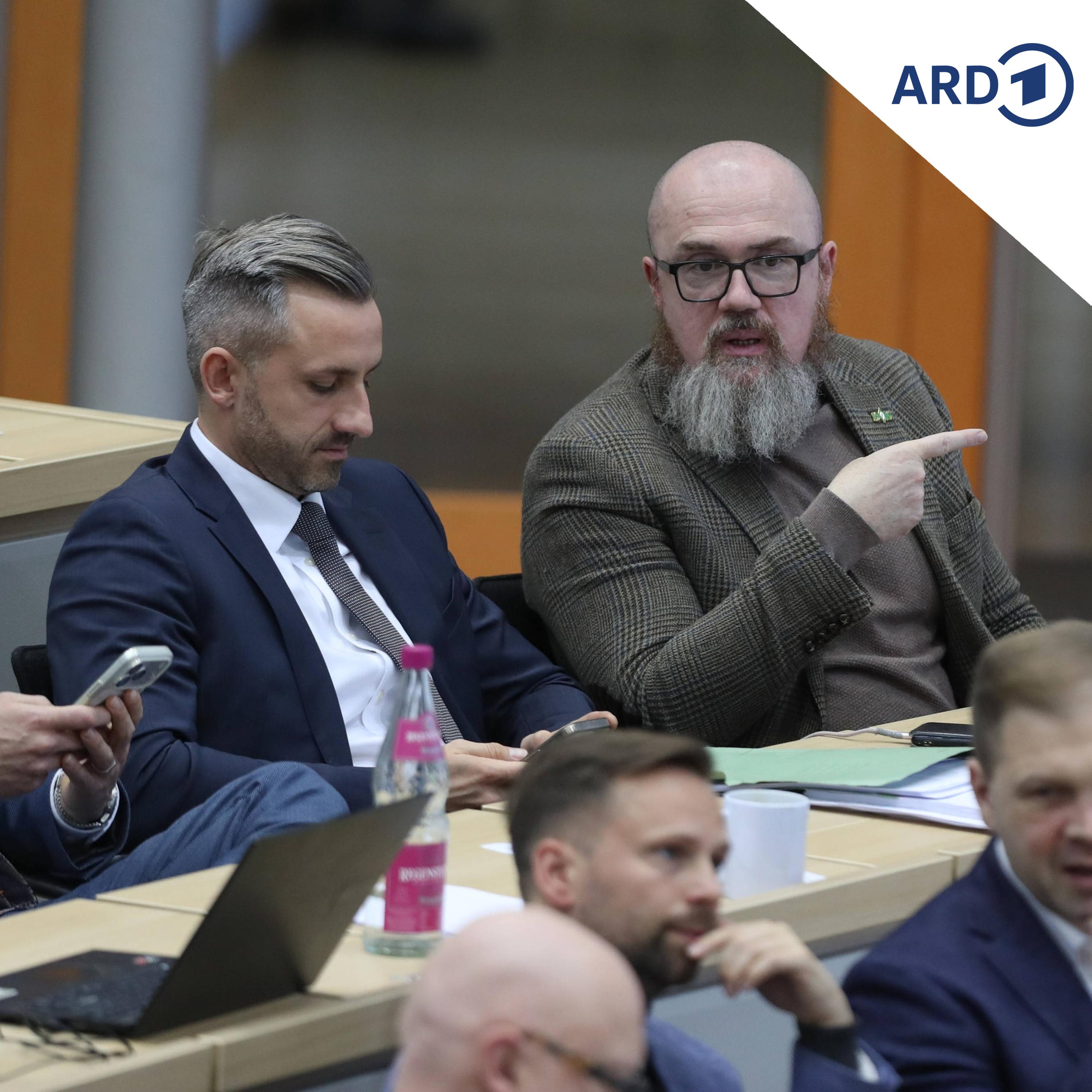 AfD-Basis in Sachsen-Anhalt fordert Landesparteitag zu möglicher Vetternwirtschaft episode artwork