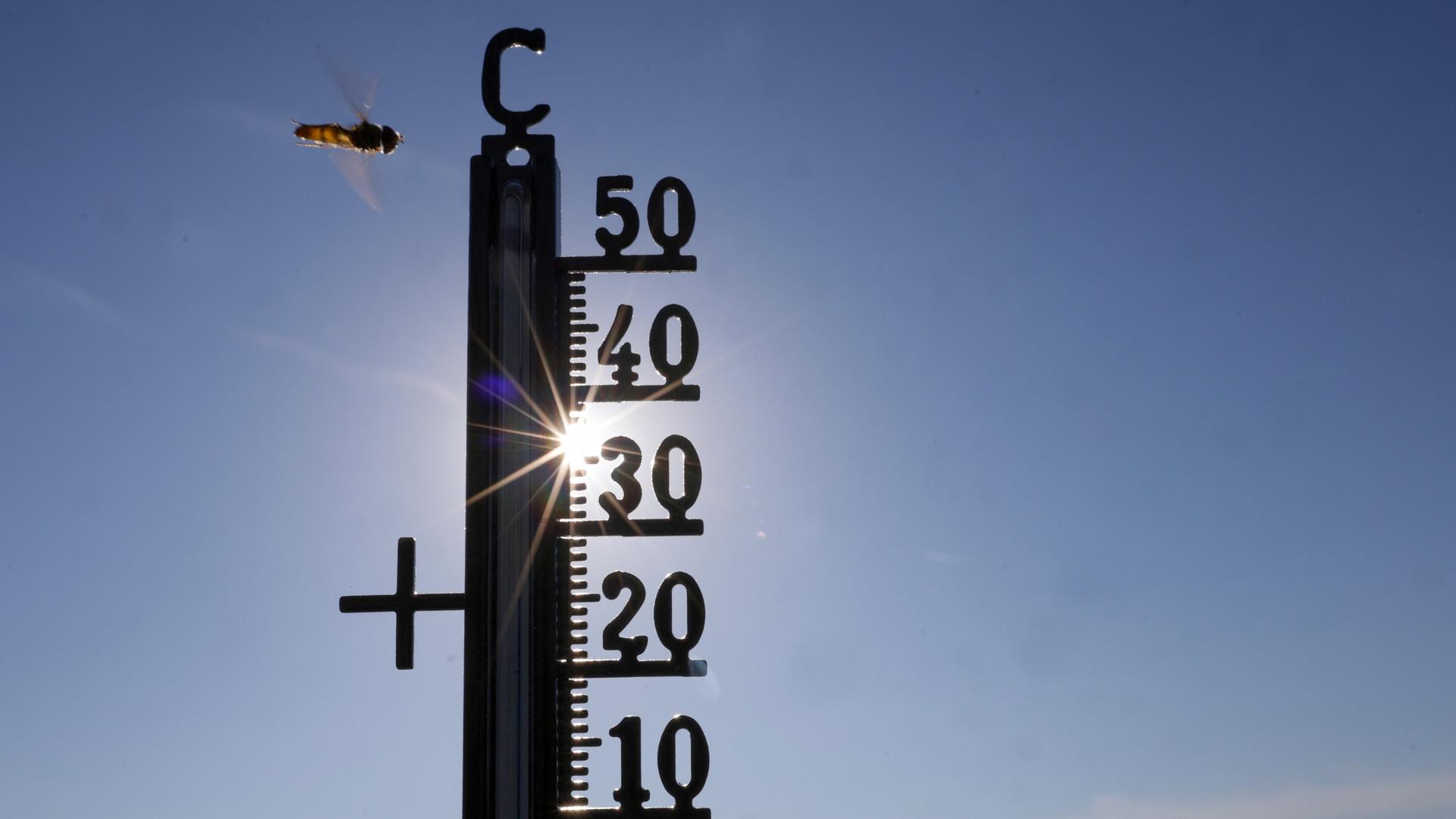 Sommer 2026 in Thüringen: Rekordhitze, Dürre, Ernteausfälle und mehr Hitzetote