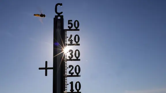Die Sonne scheint hinter einem Thermometer, an dem eine Schwebefliege vorbeifliegt.