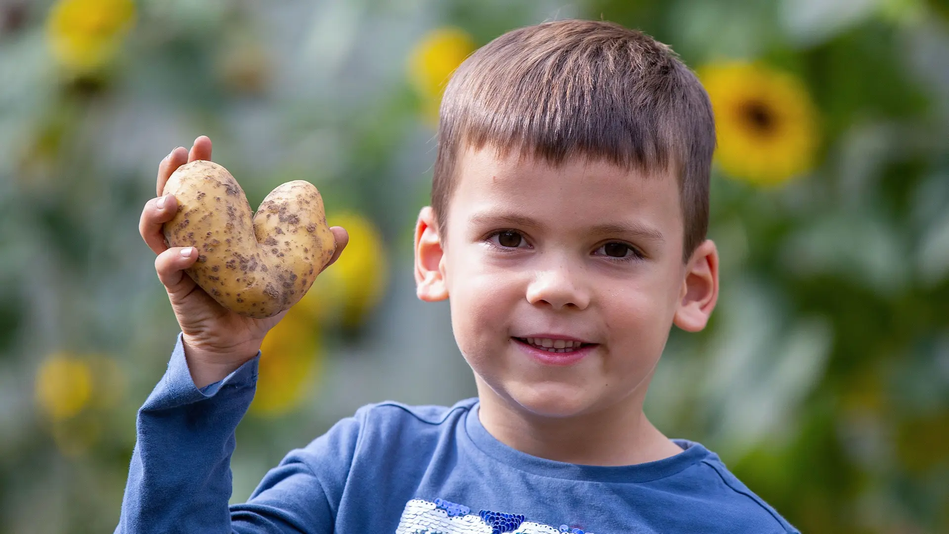 Kartoffelferien: Zwischen Herbstferien und Pflicht auf dem Feld