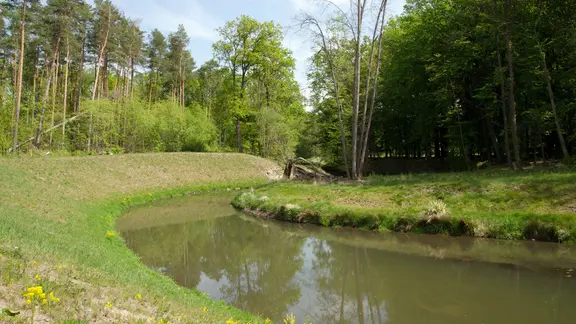 Die Spree bei Haldendorf wurde in ihre Altarme zurückgeleitet.