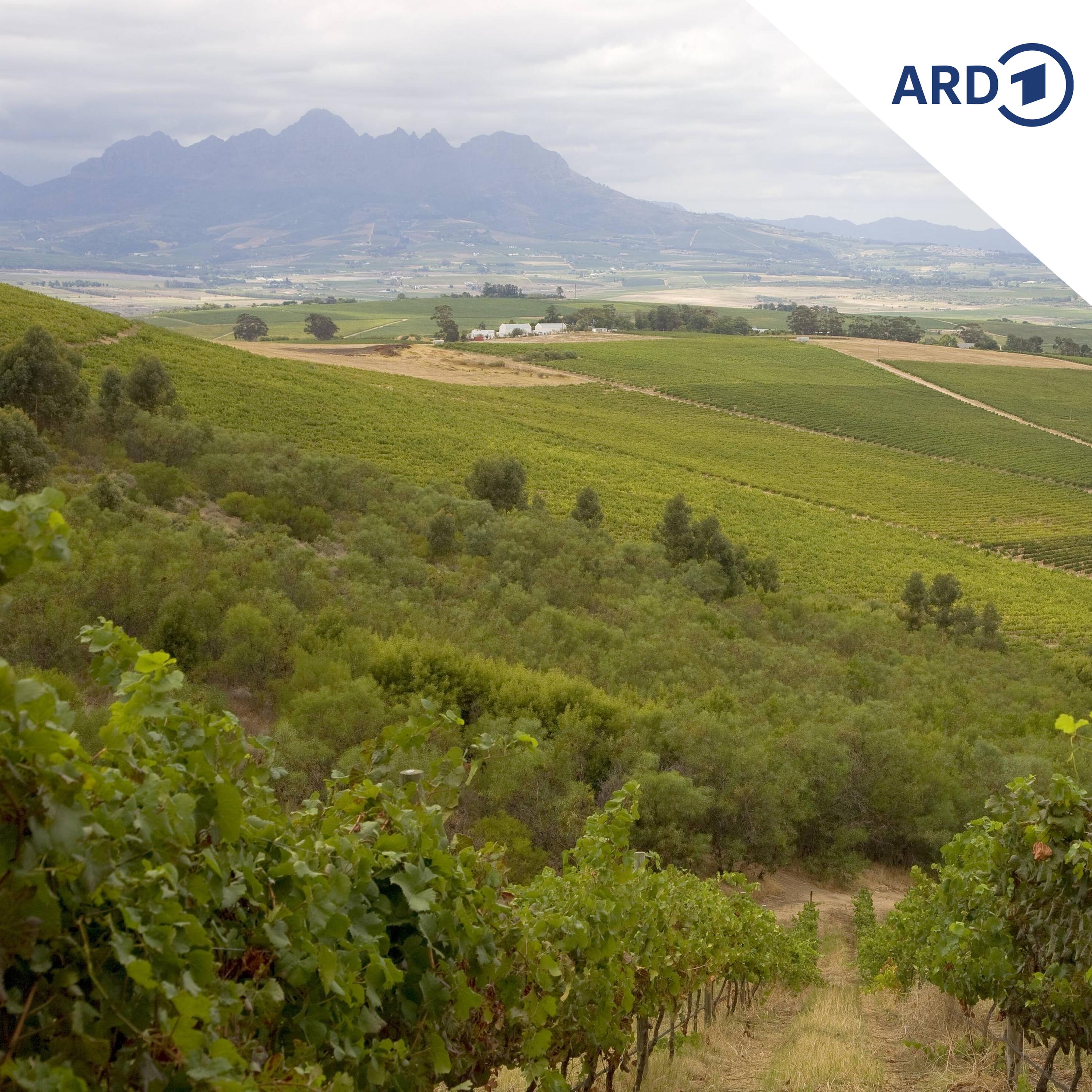Der Wasser-Sommelier von Stellenbosch episode artwork