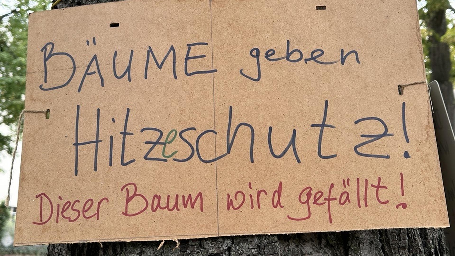 Protestschild an einem Baum | MDR/Antje Kirsten