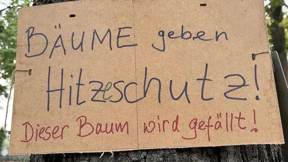 Protestschild an einem Baum