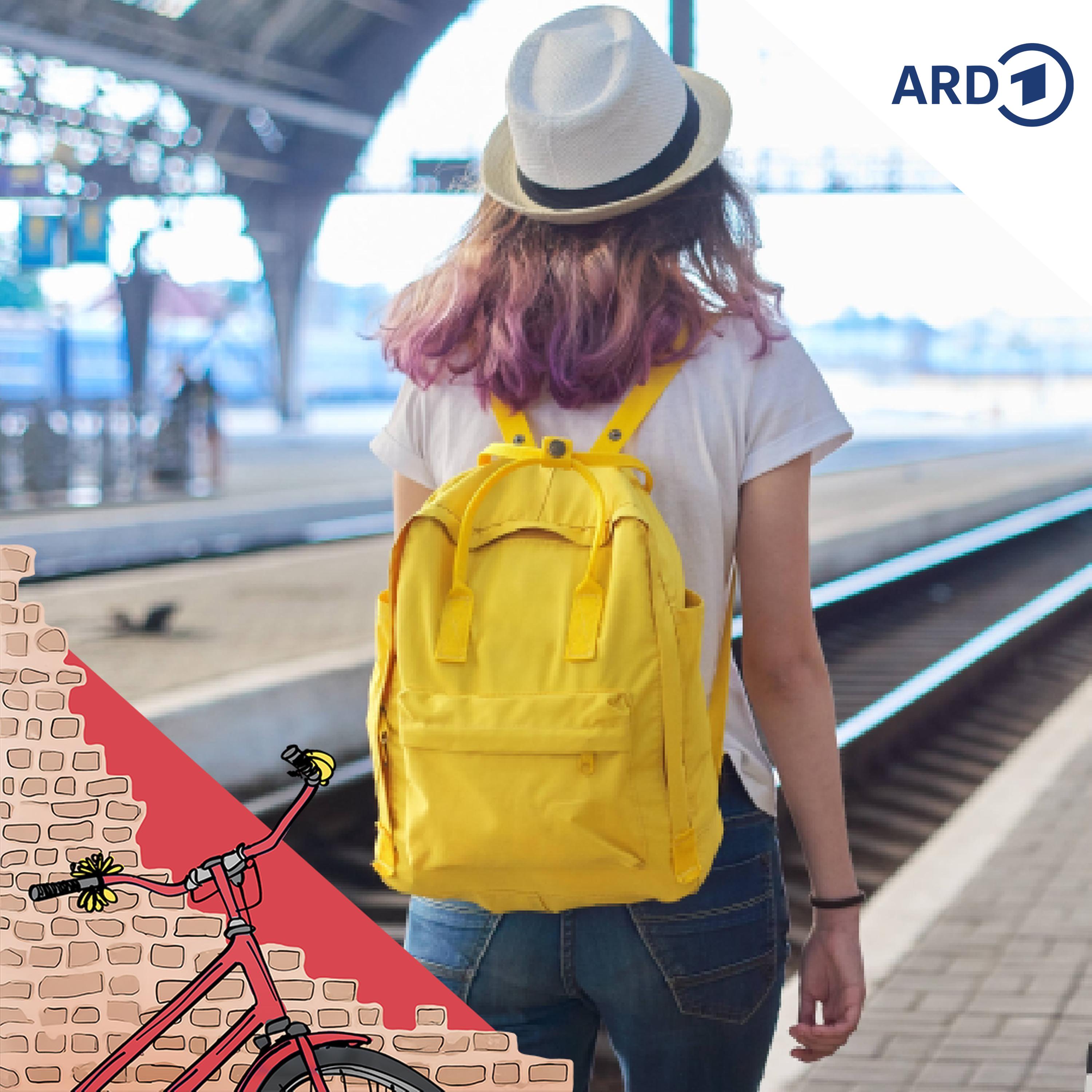 Die sommerliche Erholungserschwernis Teil 1 episode artwork