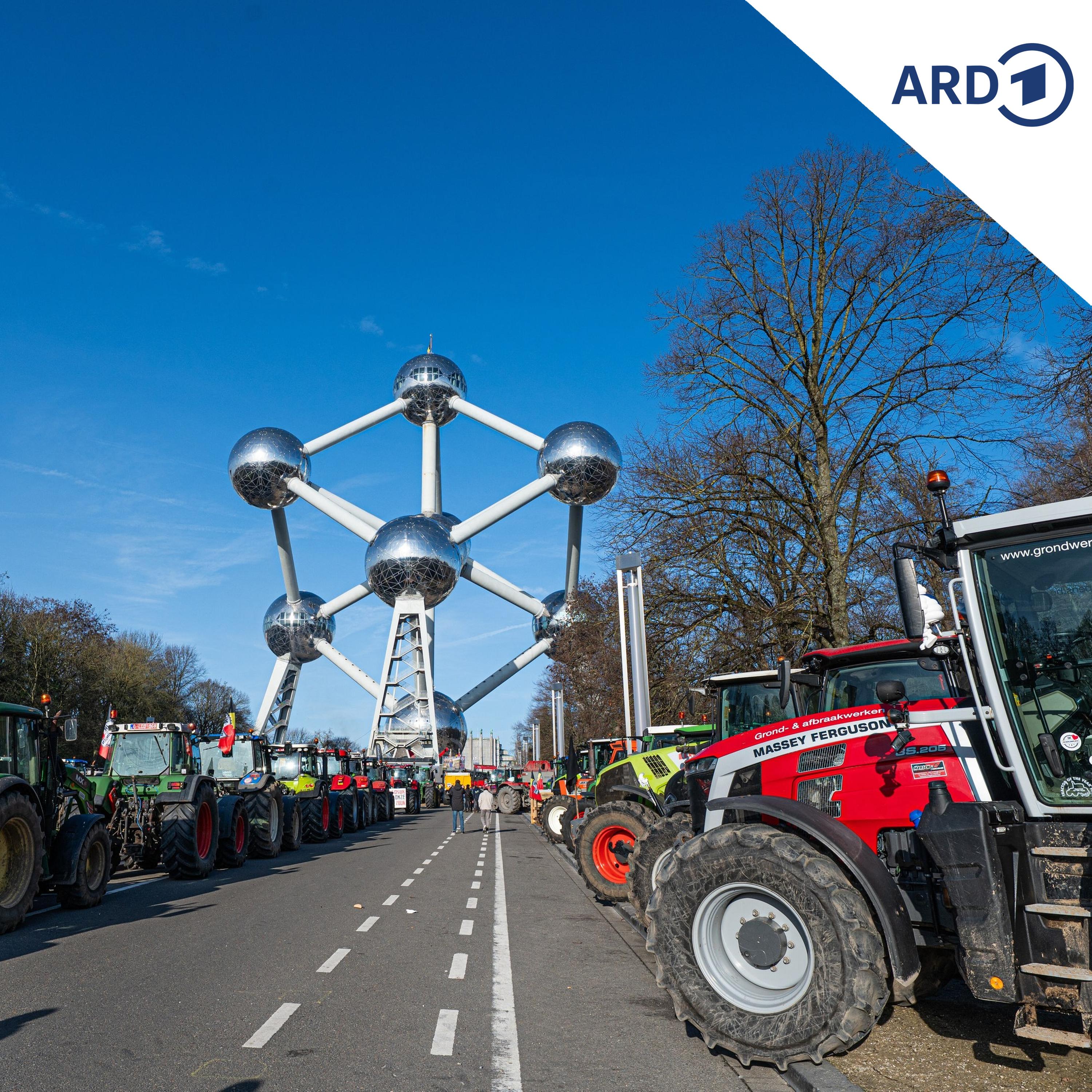 Thüringen warnt vor neuer EU-Agrar-Politik episode artwork