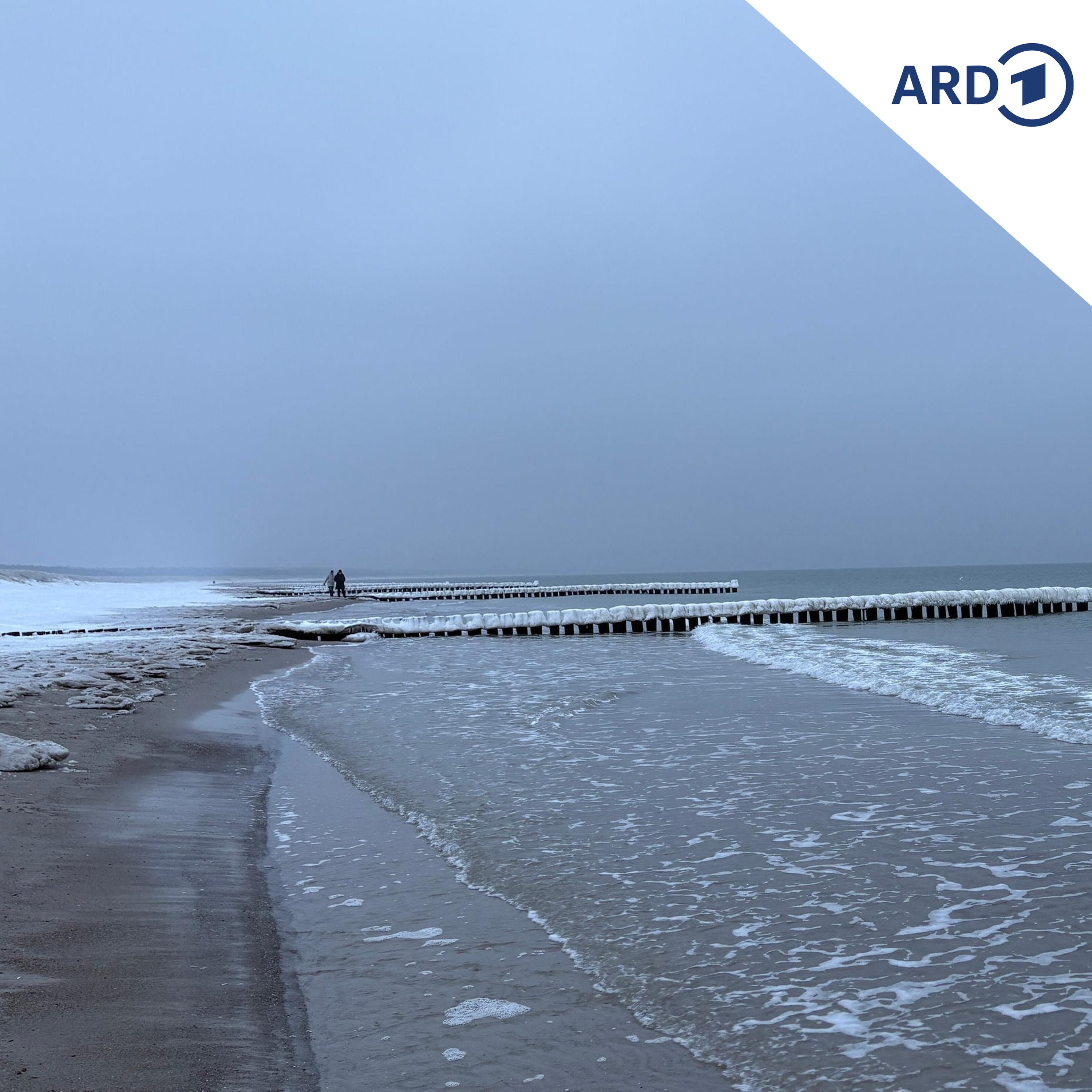 Historisch niedriger Wasserstand in der Ostsee episode artwork
