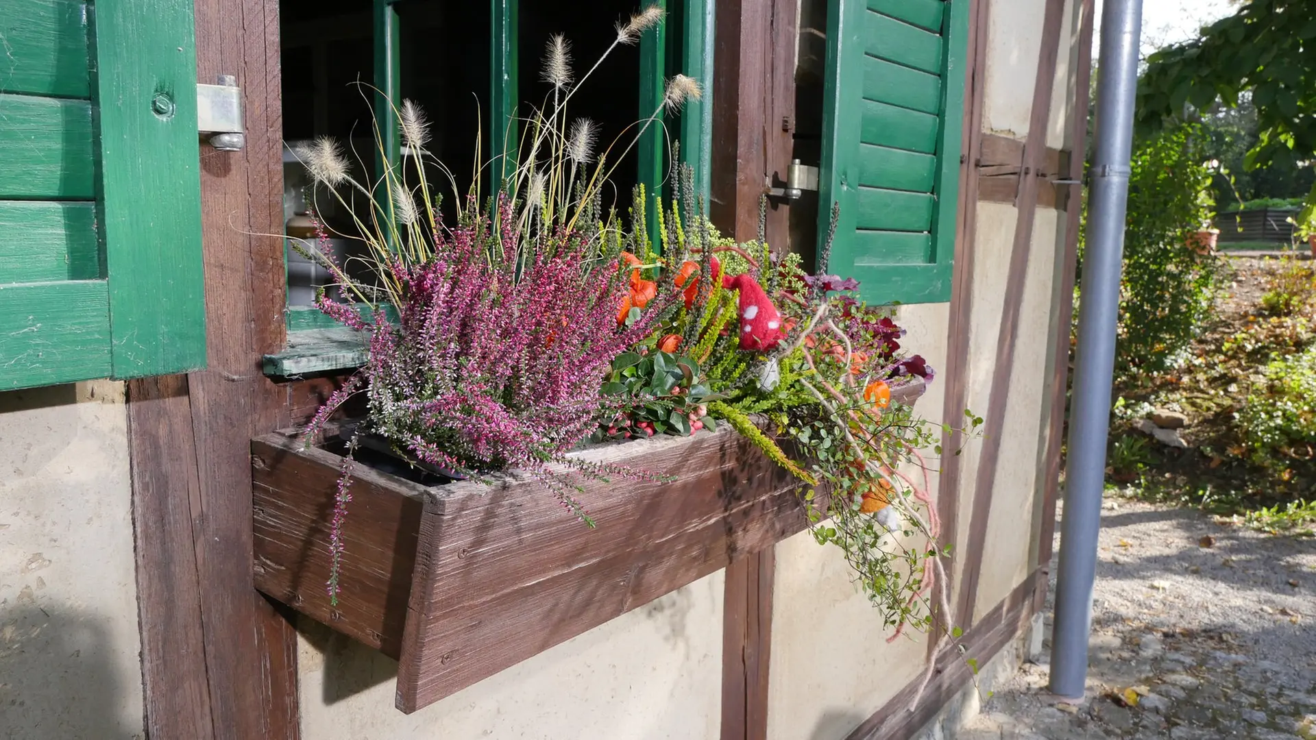 Herbst und Winter auf Balkon und Terrasse | mdr.de