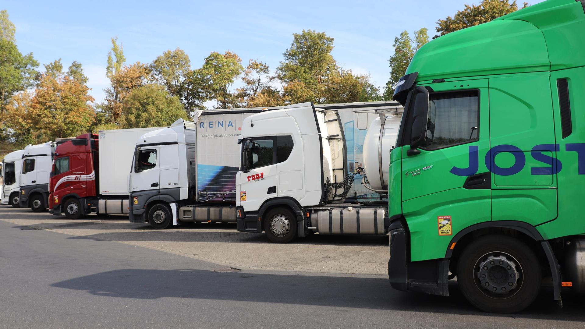 Lastwagen parken auf einem Rastplatz an der Autobahn 59.  | picture alliance/dpa | Sascha Thelen