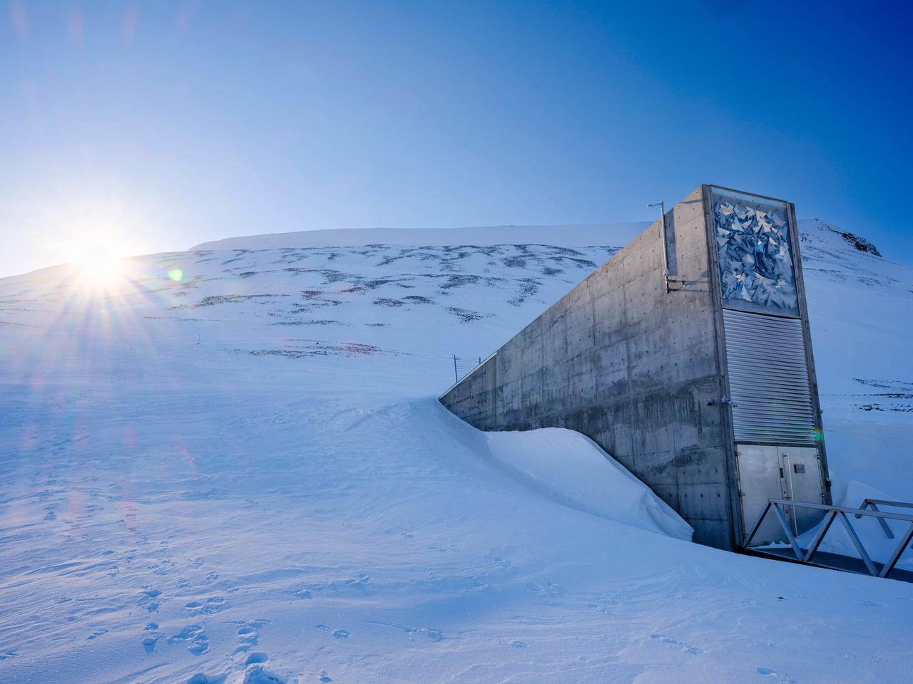 Erst Grnland, dann Spitzbergen? Ein Saatguttresor zwischen Klima und  Geopolitik | mdr.de