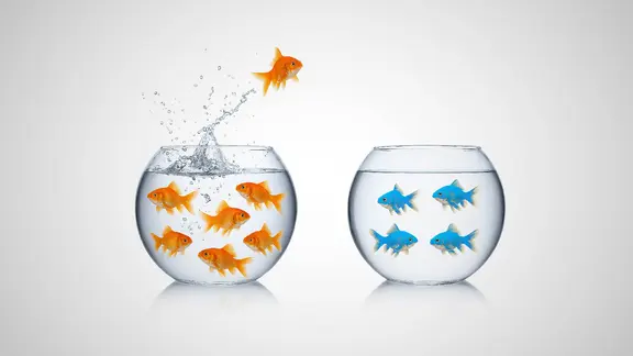 Ein orangener Fisch springt von einem Fischglas mit orangenen Fischen in ein Fischglas mit mehreren blauen Fischen.