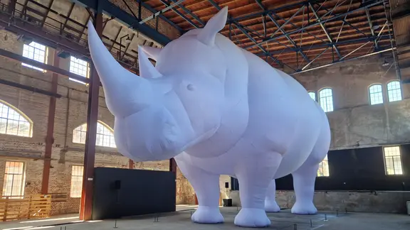 Ein 9 Meter hohes und 16 Meter langes luftgefülltes, weißes Nashorn steht in einer Halle.