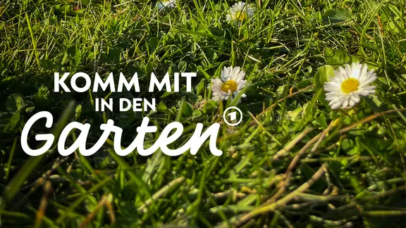 schafwollpellets dnger kaufen Natur Pellets