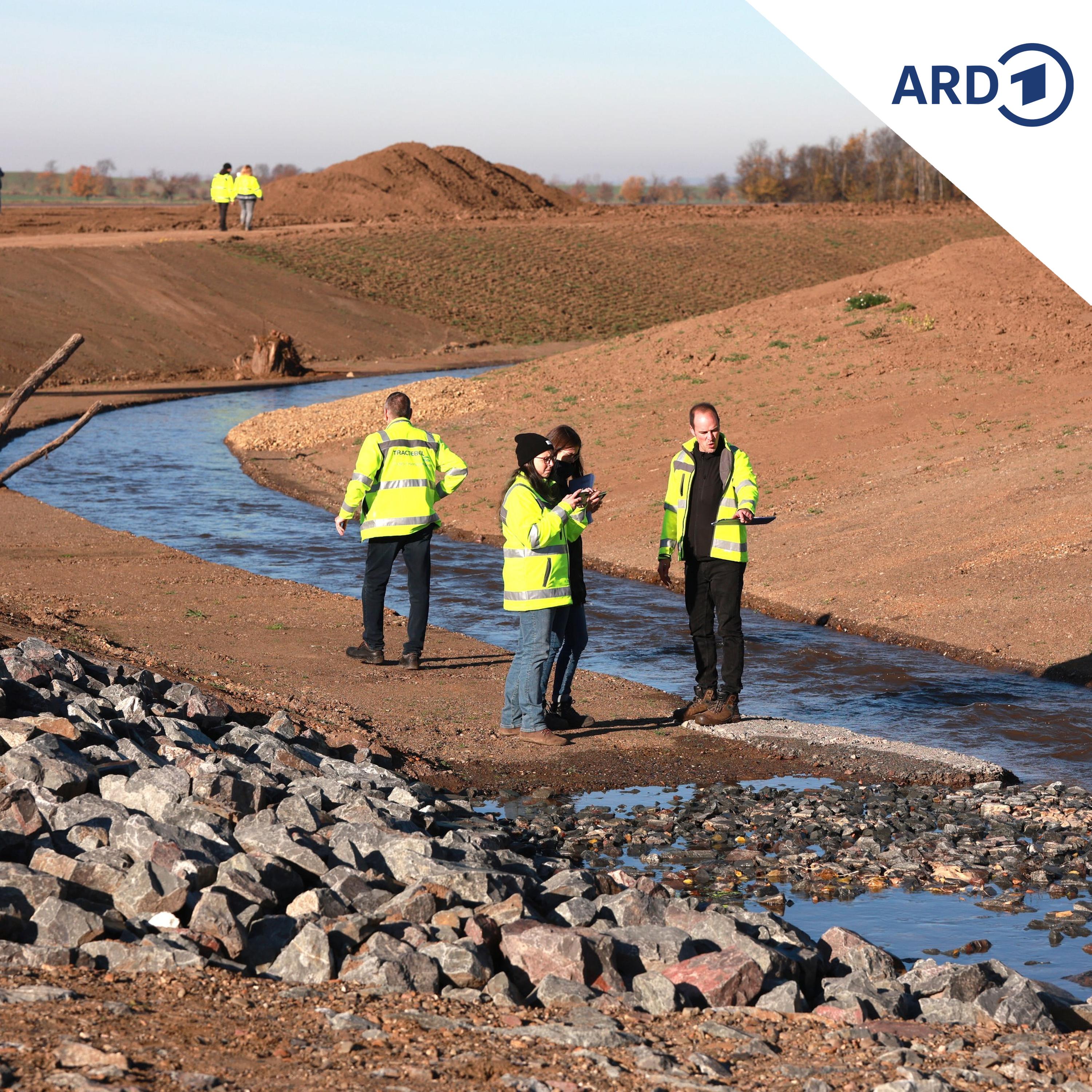 So steht es um den Hochwasserschutz in Sachsen-Anhalt episode artwork