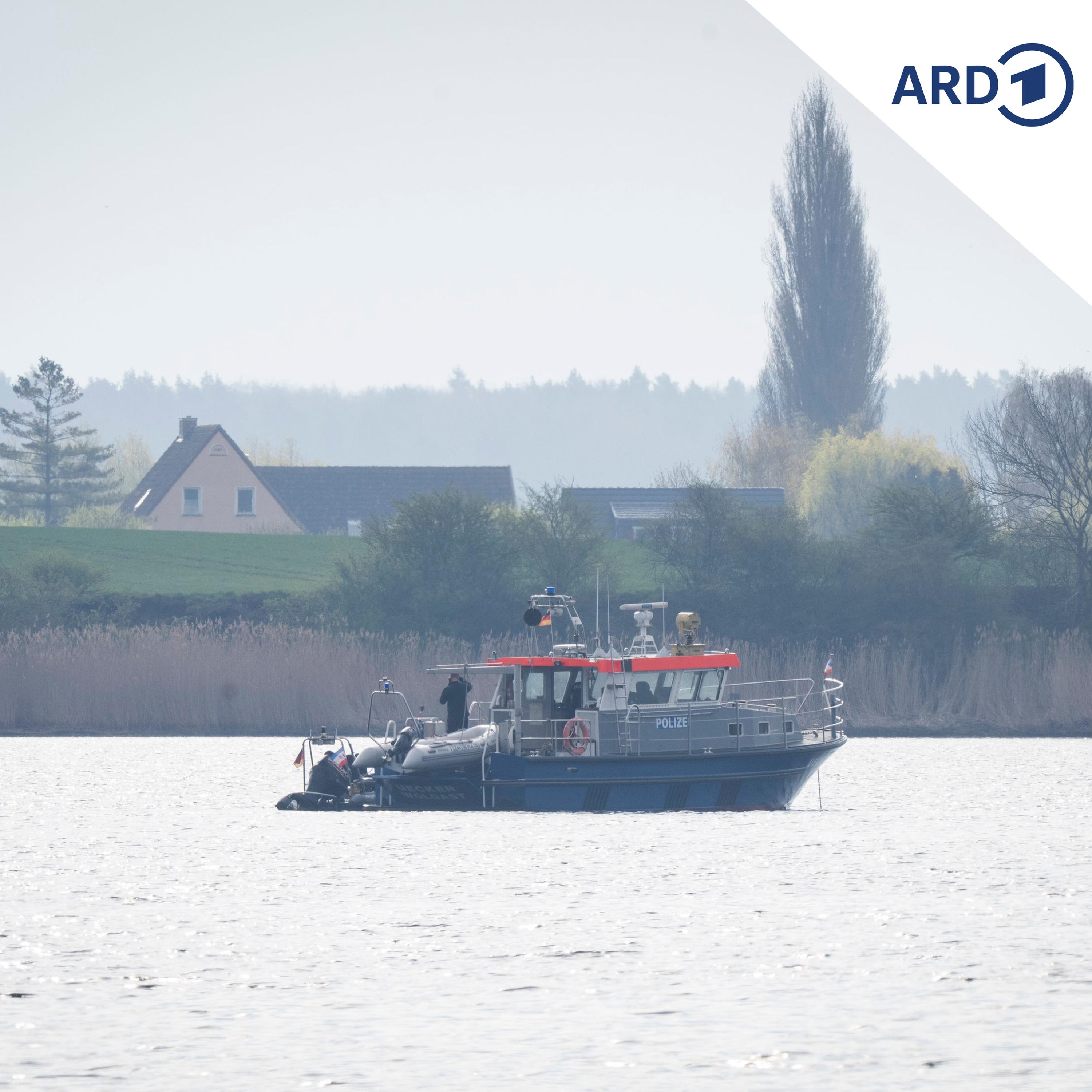Welche Chancen hat der gestrandete Buckelwal? episode artwork