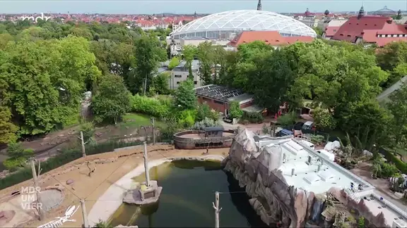 Szene aus Livestream MDR-Fernsehen