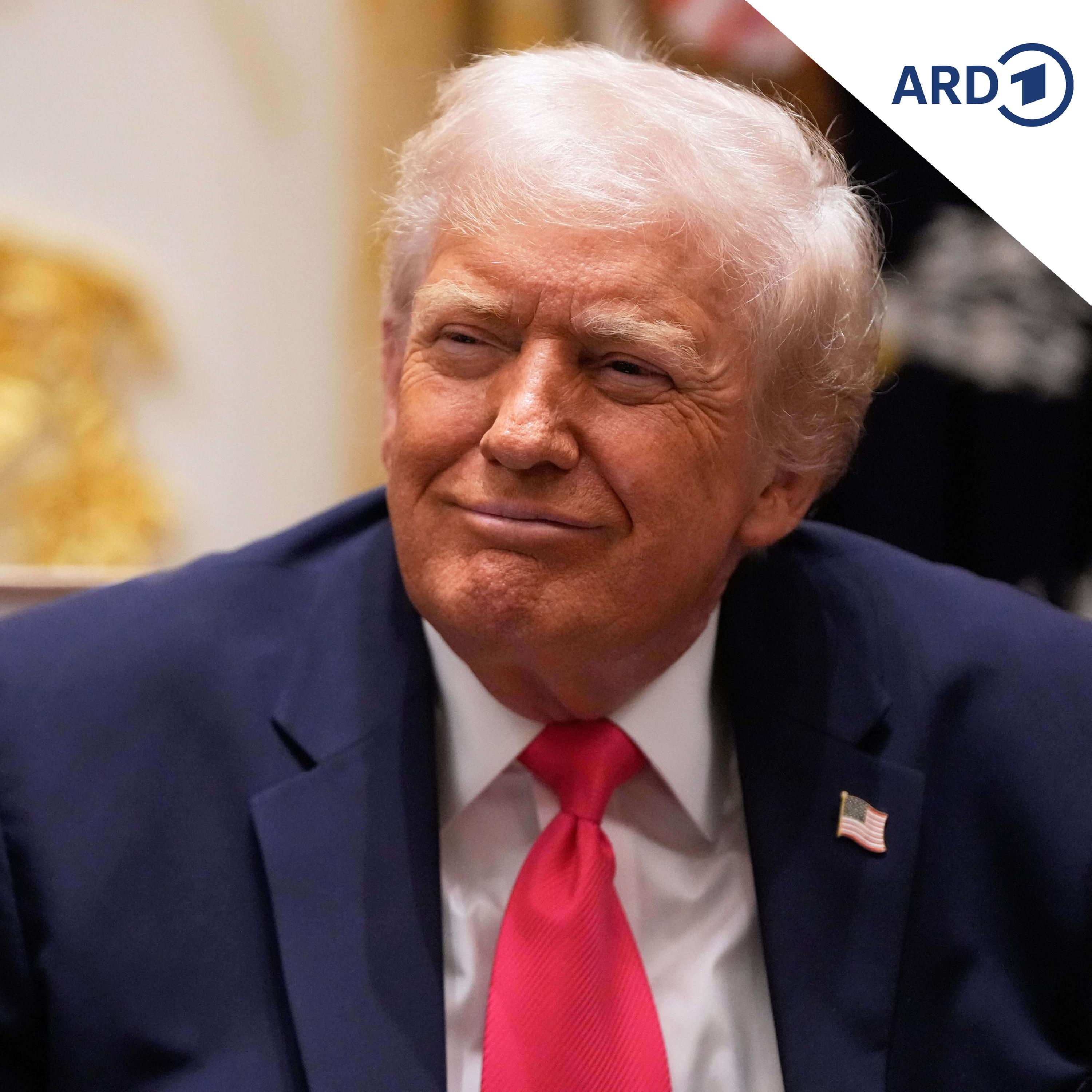 Die AfD und Trumps MAGA-Bewegung rücken näher zusammen episode artwork