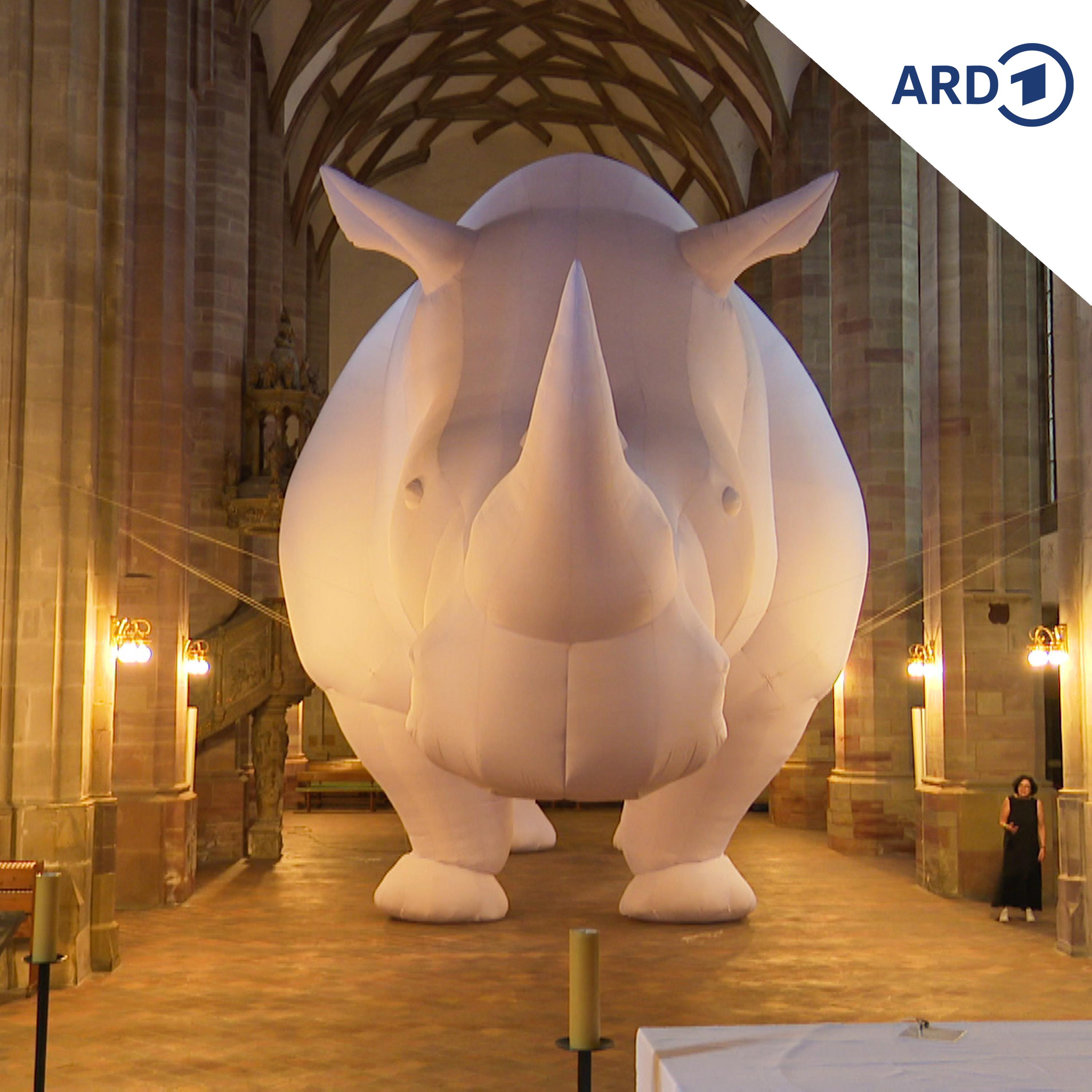 Die AfD und die Kirchen - ein schwieriges Verhältnis episode artwork