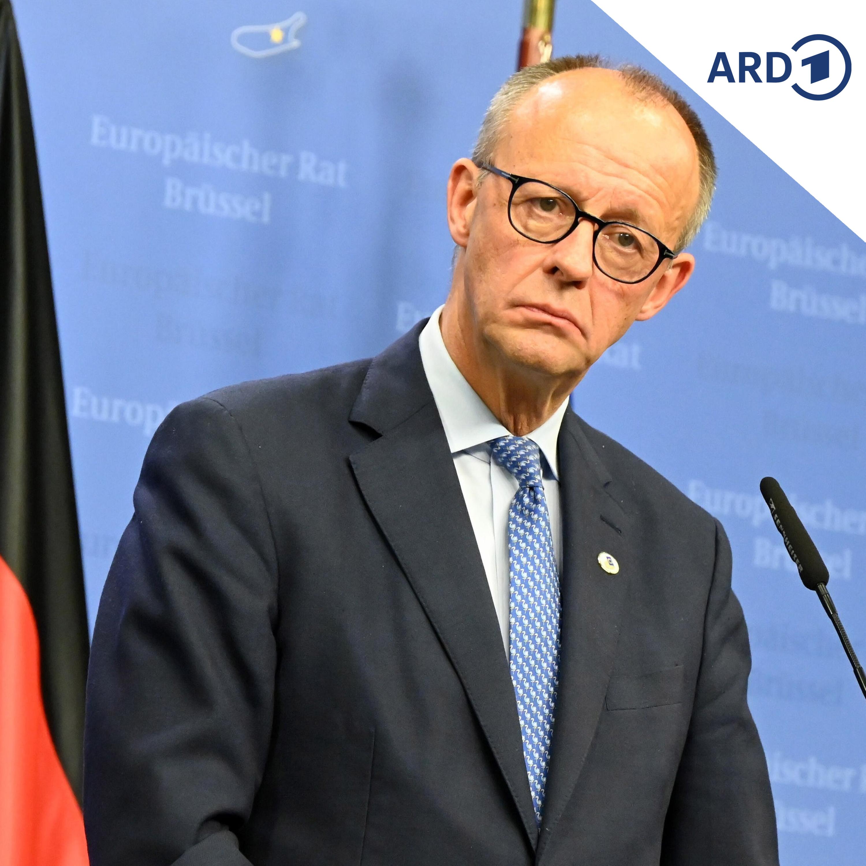 Bundesregierung drängt auf Nutzung russischer Vermögenswerte episode artwork
