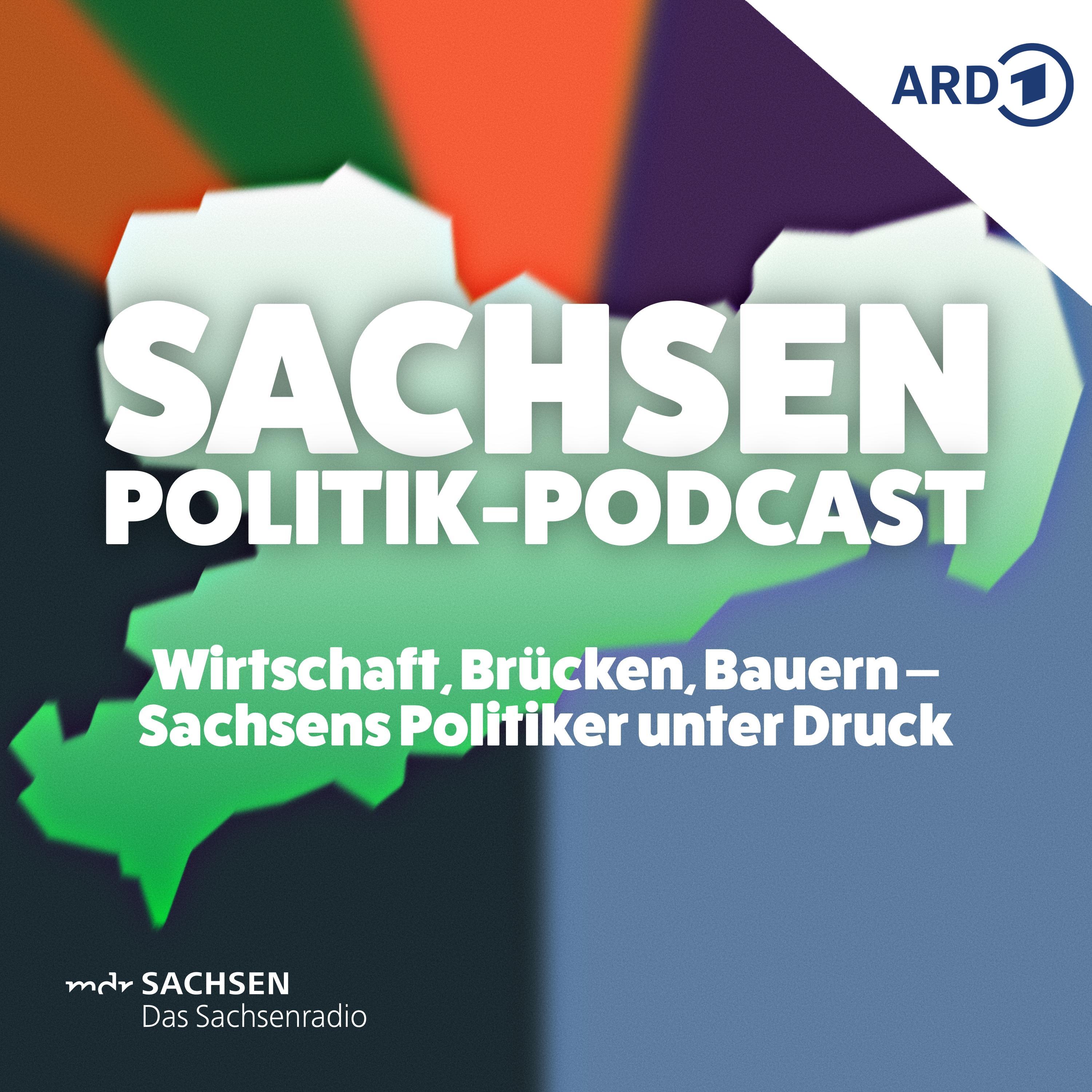 Wirtschaft, Brücken, Bauern - Sachsens Politiker unter Druck episode artwork