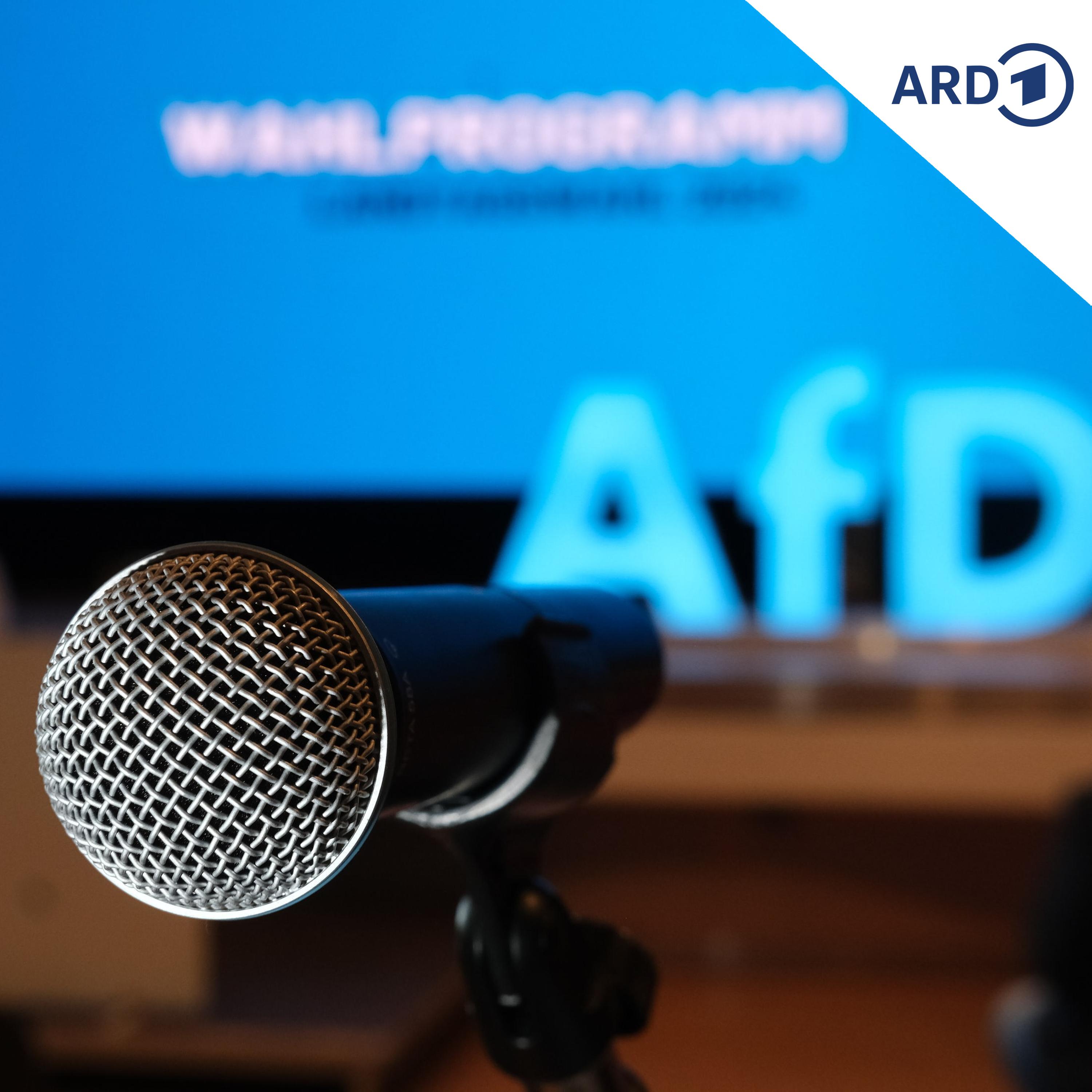 AfD prüft eigenen Radiosender episode artwork