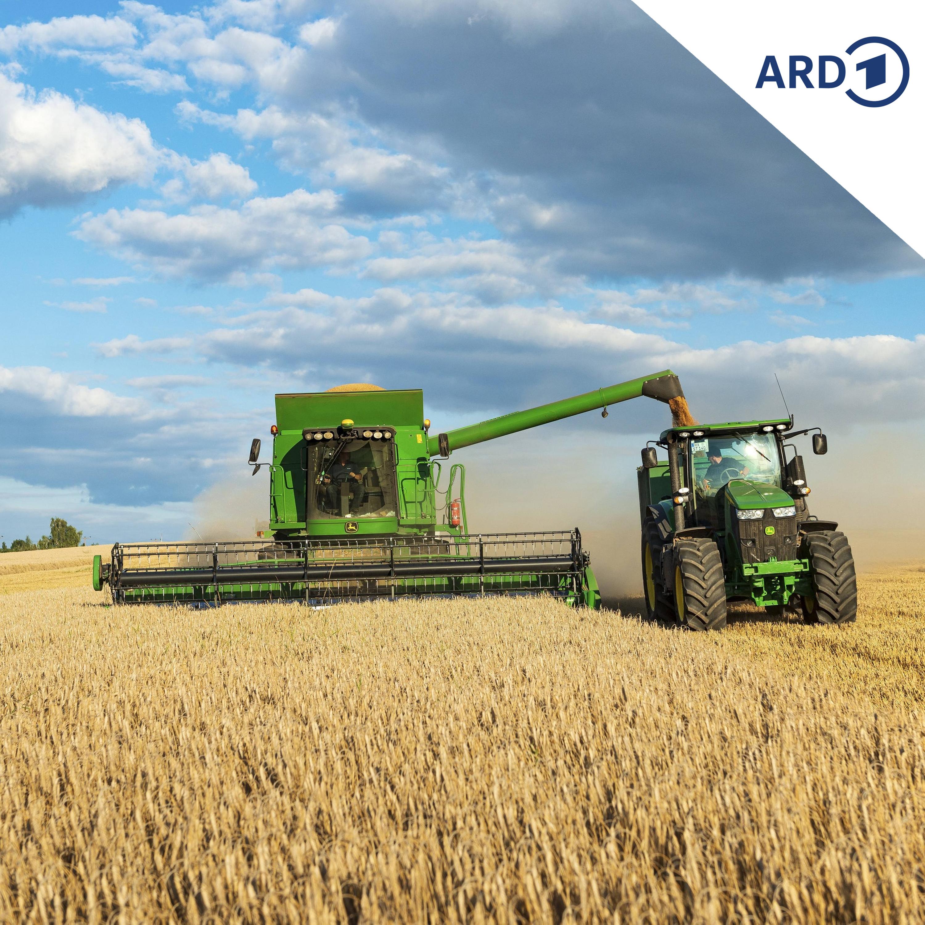 Agrardiesel-Subvention kommt zurück: Reaktionen sind geteilt episode artwork