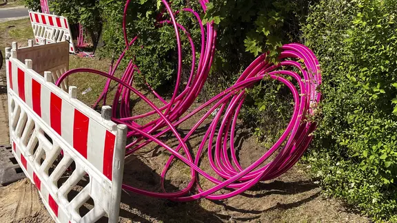 Leuchtend pinke Leerrohre für den Glasfaserausbau liegen auf einer Baustelle neben einer Straßenabsperrung am Fahrbahnrand. 