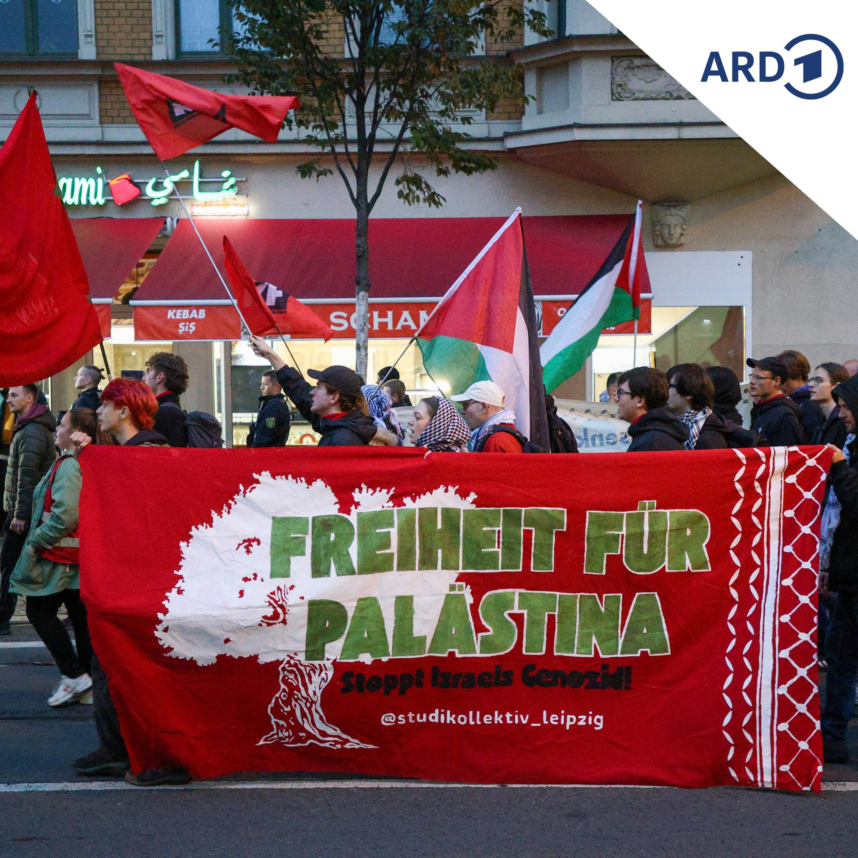 Leipzig-Connewitz: Wenn Linke gegen Linke demonstrieren episode artwork
