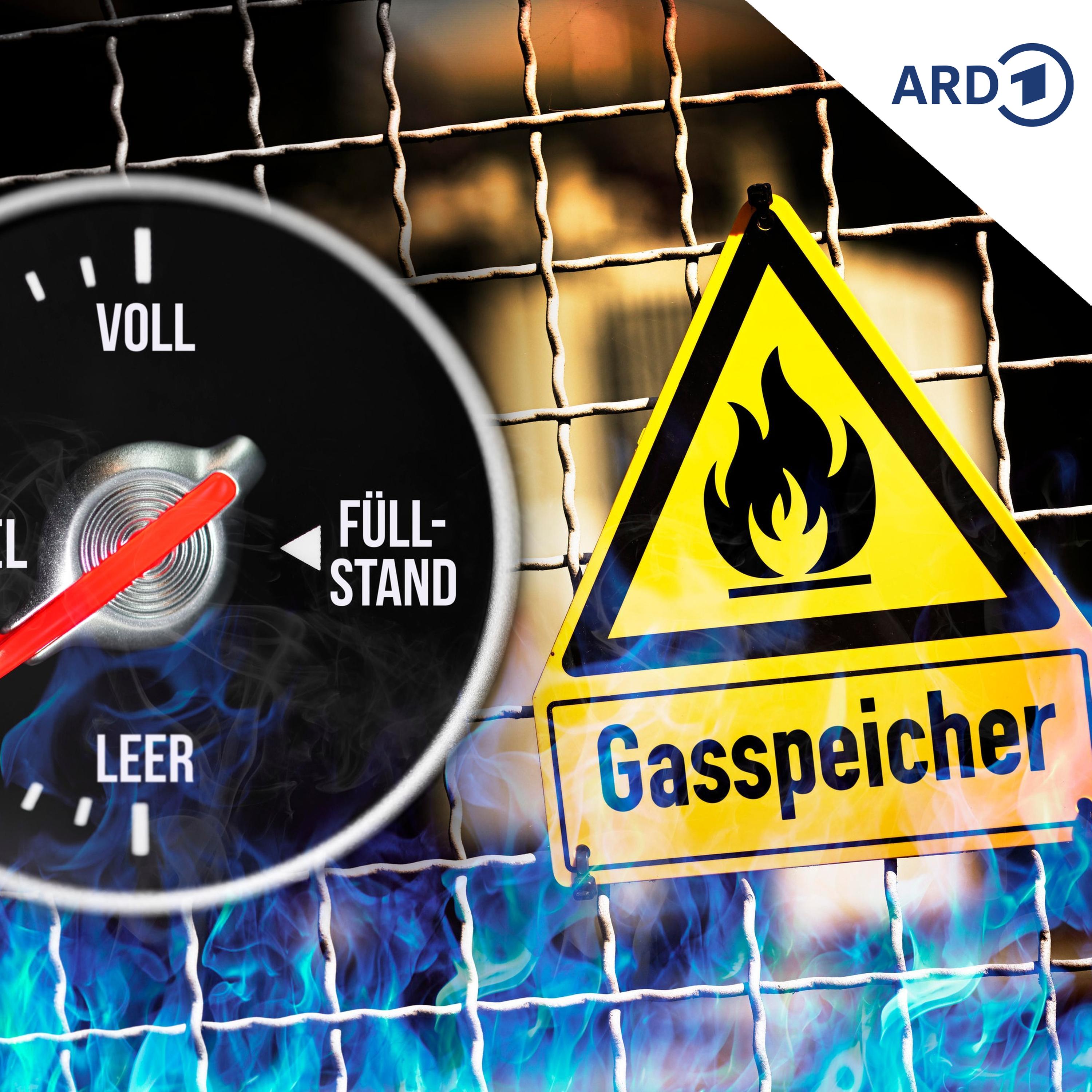 Versorgungssicherheit: Wie lange reichen die Gasspeicher? episode artwork
