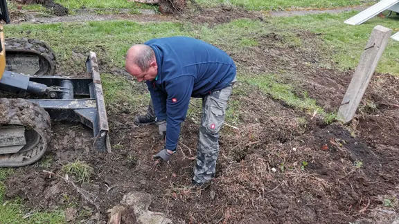 Thuja-Hecke entfernen und durch wilde Hecke ersetzen | mdr.de